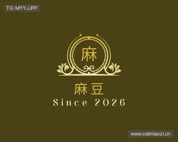 解读麻豆传媒